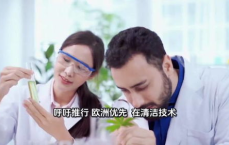 六国联名反对欧盟加大对华限制