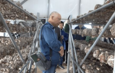 00后“刮腻子”团队夜战钢架，凌晨三点创收百万奇迹