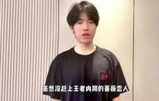 王者万象棋蔷薇恋人上线