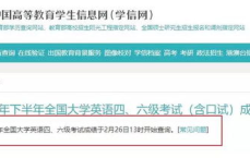 四六级查分日：成绩揭晓，喜忧参半！