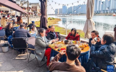 “重新养父母”：年轻一代的孝道新风尚