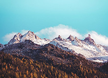 “王楚钦吴刚夫妇腊八佳节温馨同框，甜蜜氛围感染众人”